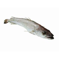 Hake (kilo/frozen)