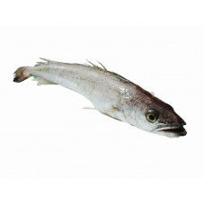 Hake (kilo/frozen)