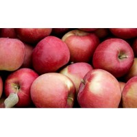 Apples - big per kg