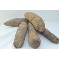 Medium fresh yam - 5 pieces