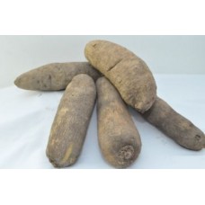 Medium fresh yam - 5 pieces