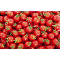 Cherry tomatoes imported pack