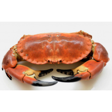 Whole crab