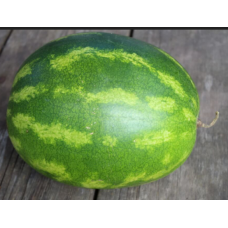 Watermelon (medium size)