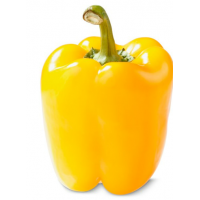 Yellow bell pepper (each/fresh)